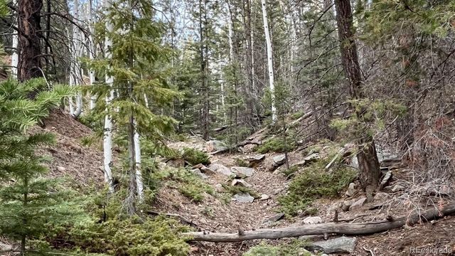 1716 County Road 327, Westcliffe, CO 81252