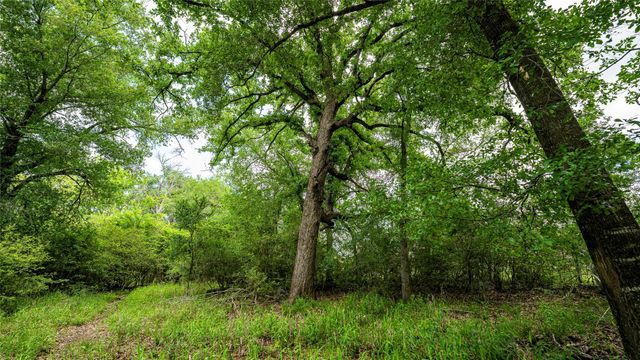 ESMT County Road 302, Rockdale, TX 78947