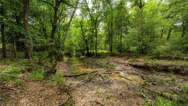 ESMT County Road 302, Rockdale, TX 78947
