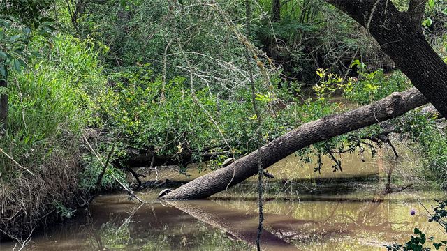 ESMT County Road 302, Rockdale, TX 78947