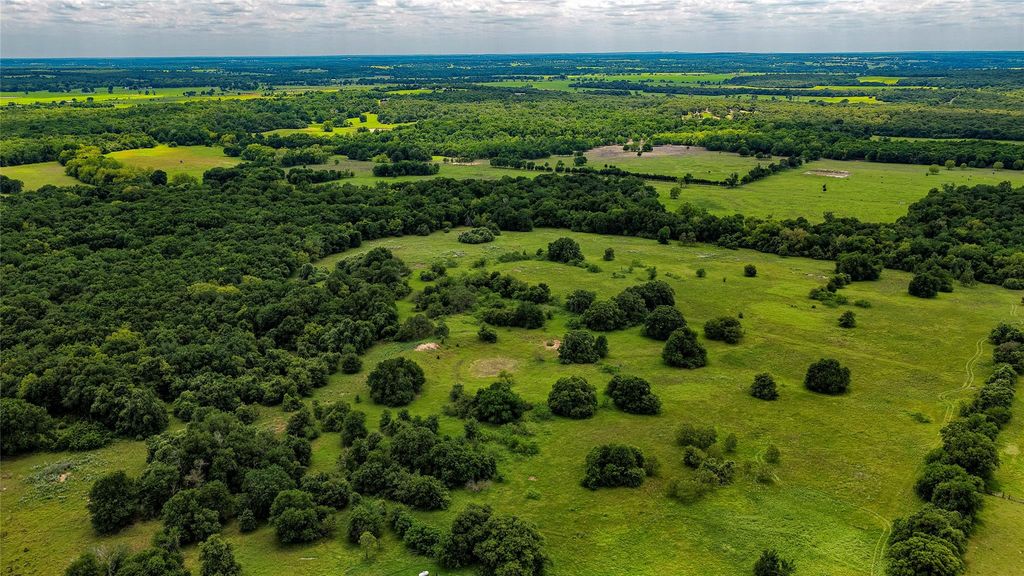 ESMT County Road 302, Rockdale, TX 78947