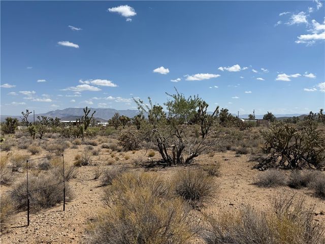 18432 Saddle Drive, Dolan Springs, AZ 86441