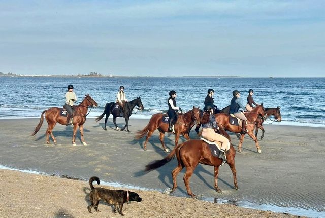 127 Paul Place, Fairfield, CT 06824