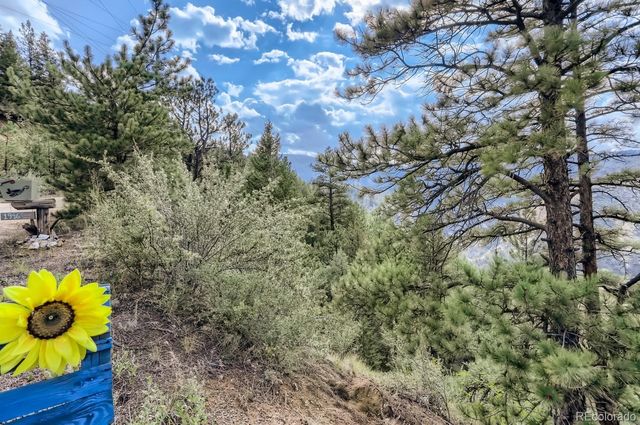 2154 Douglas Mountain Drive, Golden, CO 80403