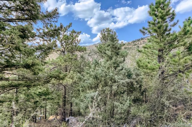 2154 Douglas Mountain Drive, Golden, CO 80403