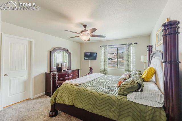 2049 Birmingham Loop, Colorado Springs, CO 80910