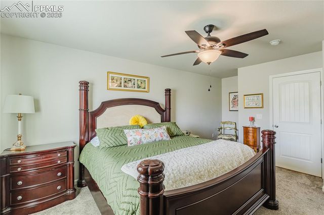 2049 Birmingham Loop, Colorado Springs, CO 80910