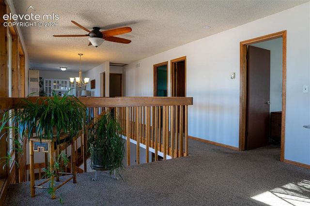 3170 Tiffany Terrace, Colorado Springs, CO 80920