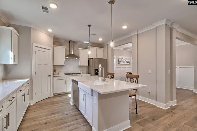 157 Collins Cove Drive, Chapin, SC 29036