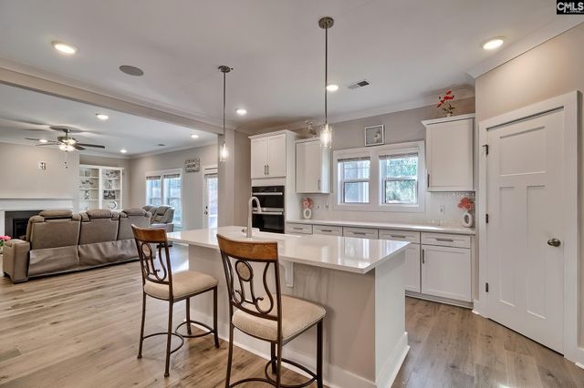 157 Collins Cove Drive, Chapin, SC 29036