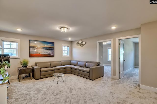 157 Collins Cove Drive, Chapin, SC 29036