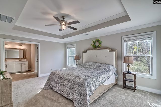 157 Collins Cove Drive, Chapin, SC 29036