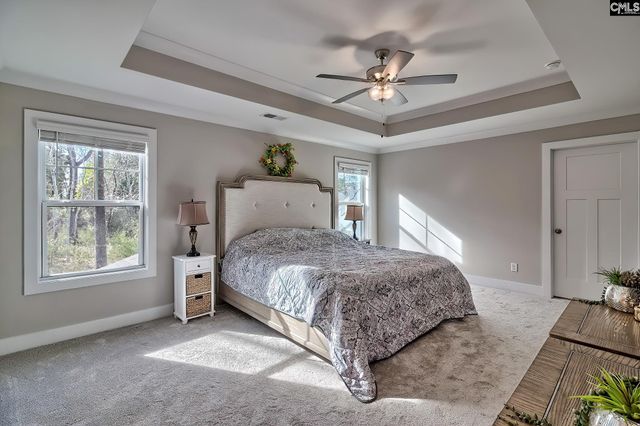 157 Collins Cove Drive, Chapin, SC 29036