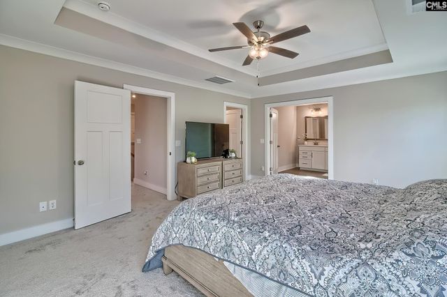 157 Collins Cove Drive, Chapin, SC 29036