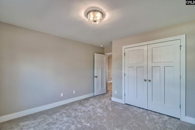 157 Collins Cove Drive, Chapin, SC 29036