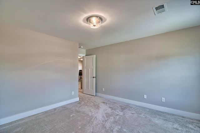 157 Collins Cove Drive, Chapin, SC 29036