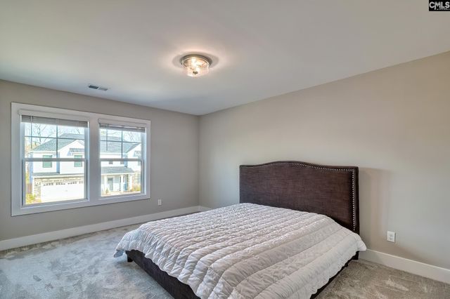 157 Collins Cove Drive, Chapin, SC 29036