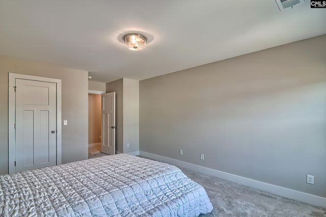 157 Collins Cove Drive, Chapin, SC 29036