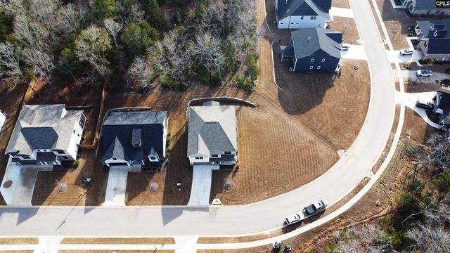 157 Collins Cove Drive, Chapin, SC 29036