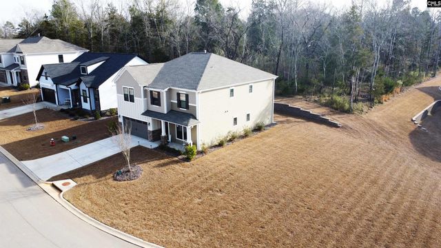 157 Collins Cove Drive, Chapin, SC 29036