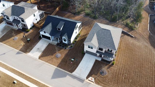 157 Collins Cove Drive, Chapin, SC 29036