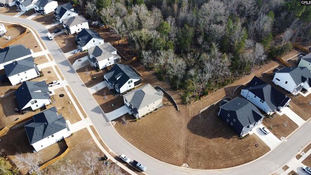 157 Collins Cove Drive, Chapin, SC 29036