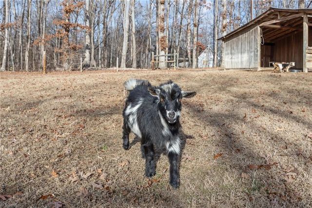 301 Beck Forest Lane, Thomasville, NC 27360