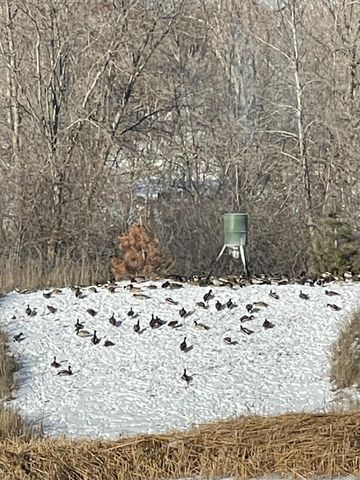 4852 Bennett Street SE, Prior Lake, MN 55372