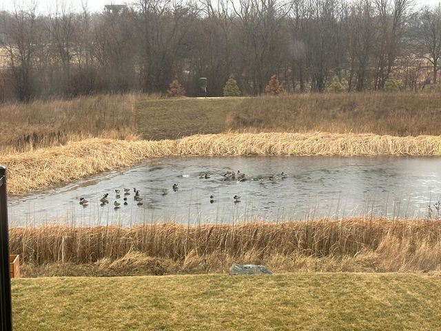 4852 Bennett Street SE, Prior Lake, MN 55372