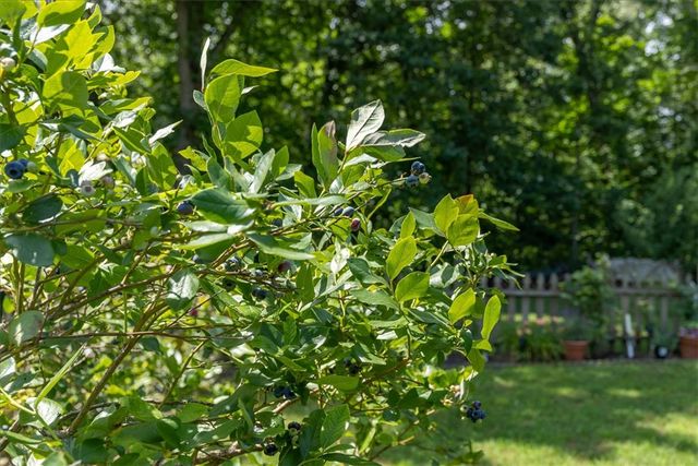 50 Saint Andrews Drive, Bella Vista, AR 72715