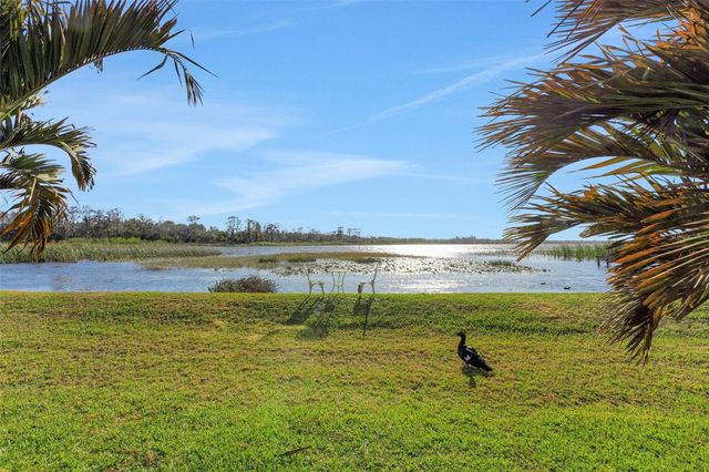 410 ORANGE BLOSSOM DRIVE, Winter Haven, FL 33880