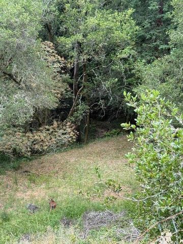 496 Raymundo Drive, Woodside, CA 94062