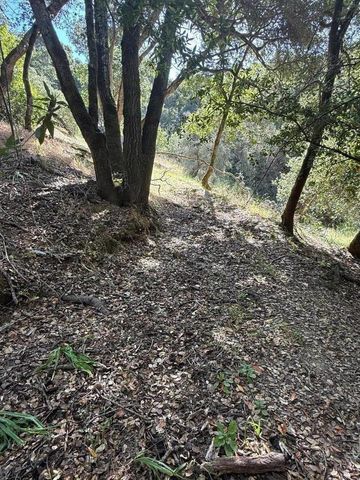 496 Raymundo Drive, Woodside, CA 94062