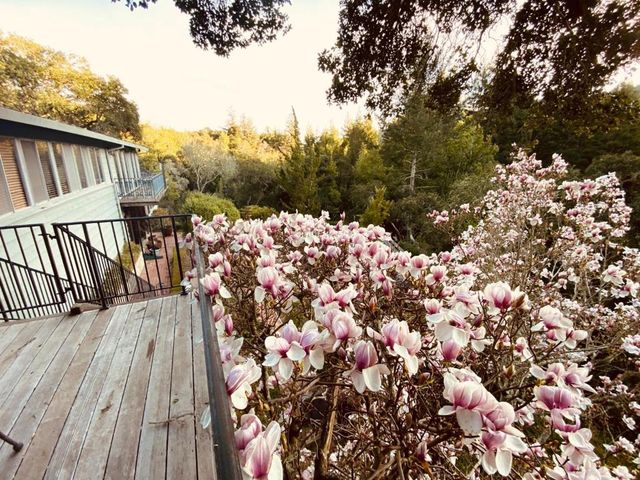 496 Raymundo Drive, Woodside, CA 94062