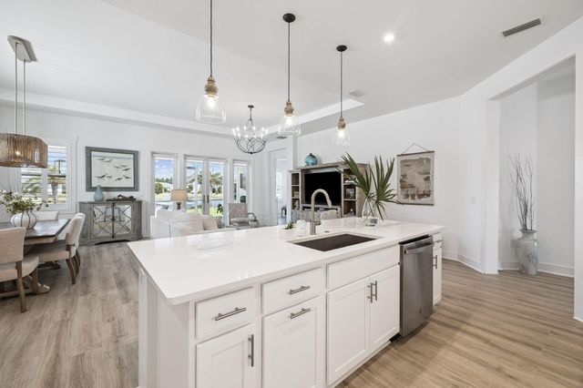 122 Pennekamp Lane, Inlet Beach, FL 32461