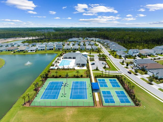 122 Pennekamp Lane, Inlet Beach, FL 32461