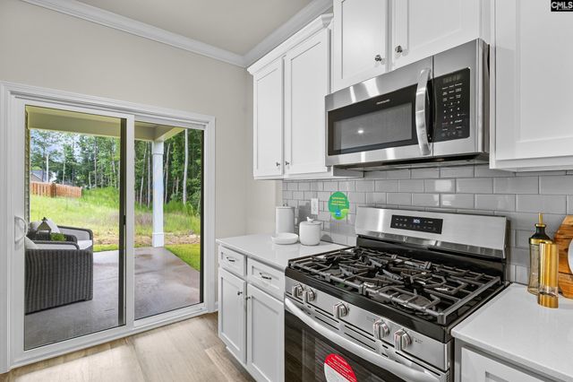 148 Calm Citadel Drive, Pelion, SC 29123