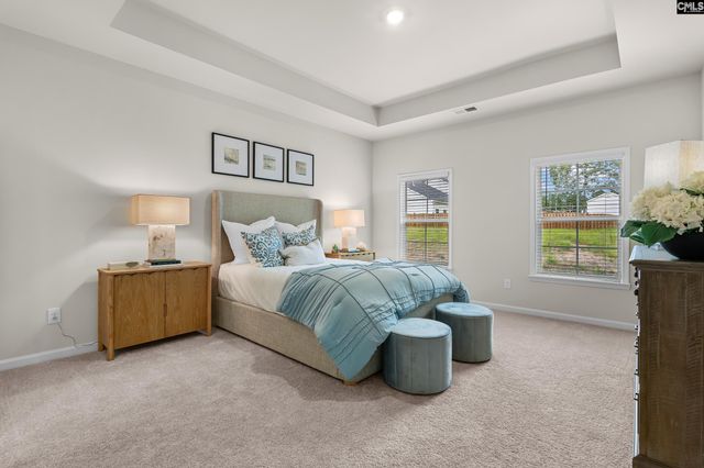 148 Calm Citadel Drive, Pelion, SC 29123