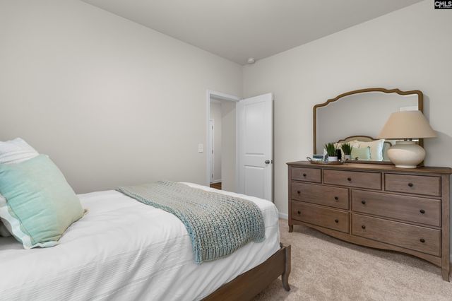 148 Calm Citadel Drive, Pelion, SC 29123