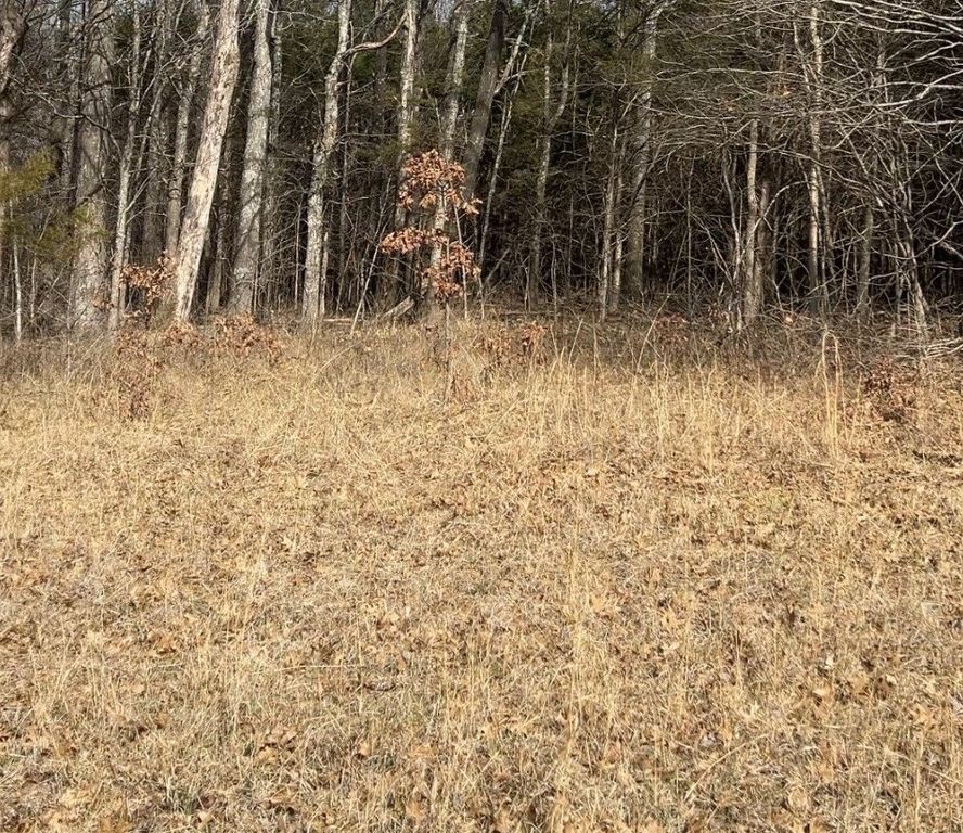 0 Ledbetter Rd, Shelbyville, TN 37160