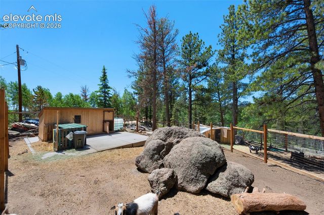 897 Fossil Creek Road, Florissant, CO 80816