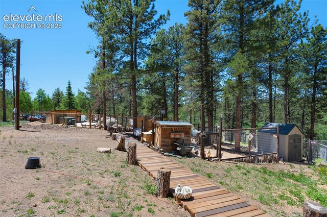 897 Fossil Creek Road, Florissant, CO 80816