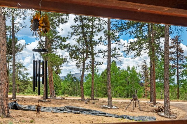 897 Fossil Creek Road, Florissant, CO 80816