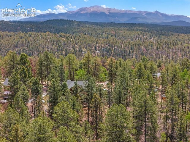 897 Fossil Creek Road, Florissant, CO 80816