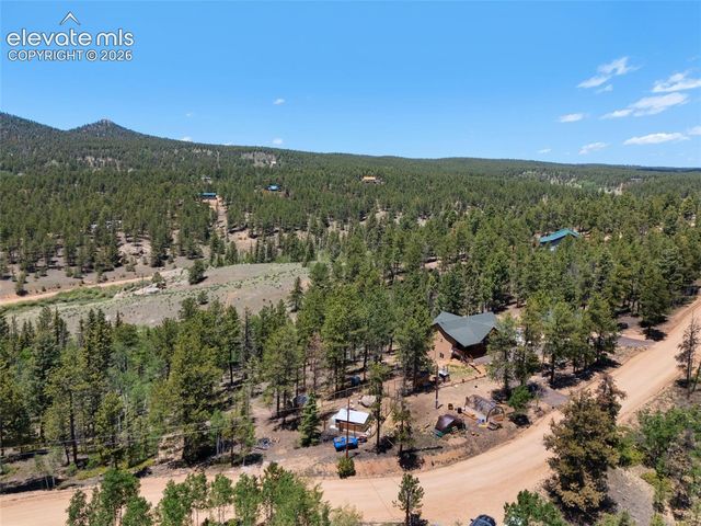 897 Fossil Creek Road, Florissant, CO 80816