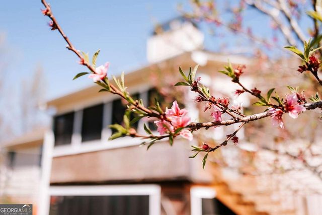 2242 Crawfordville Road, Rayle, GA 30660