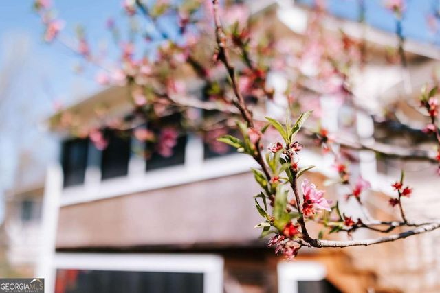 2242 Crawfordville Road, Rayle, GA 30660