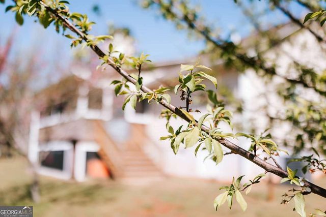 2242 Crawfordville Road, Rayle, GA 30660