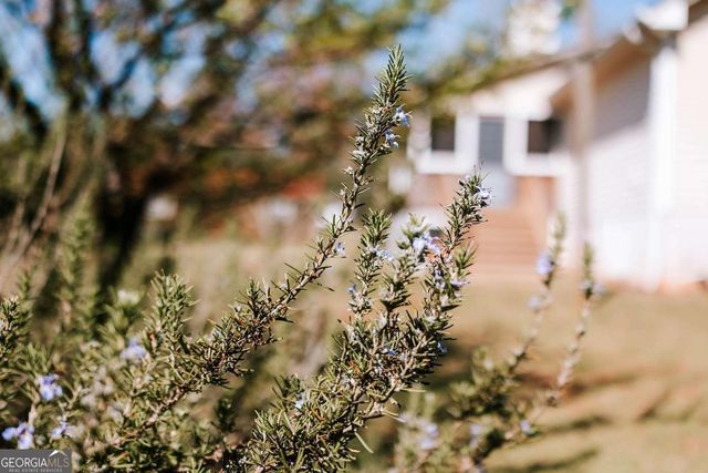 2242 Crawfordville Road, Rayle, GA 30660