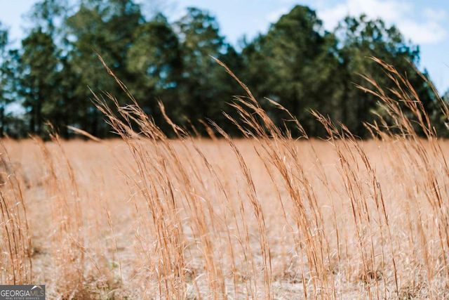 2242 Crawfordville Road, Rayle, GA 30660